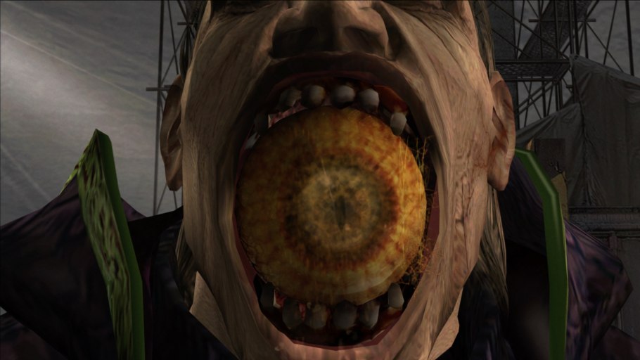 Многорядник Брауна Polystichum braunii