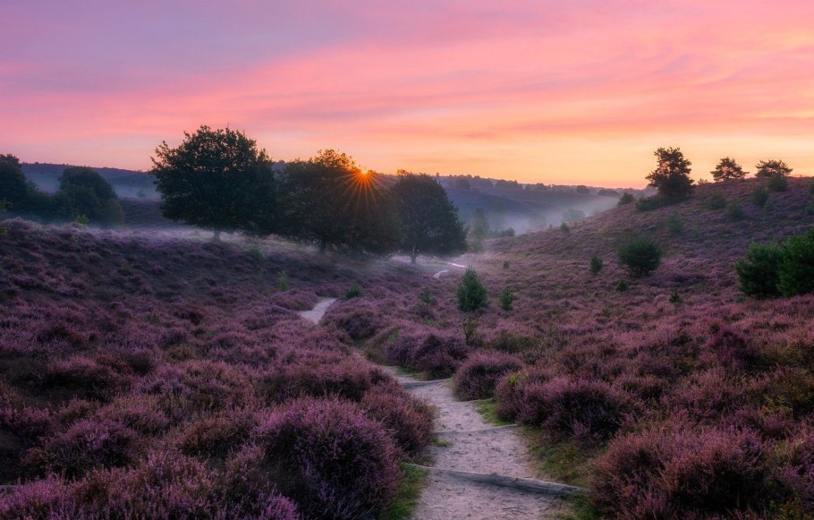 Луга Шотландии