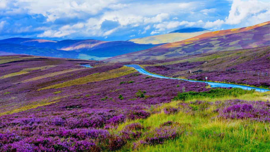 Вересковые пустоши Йоркшира