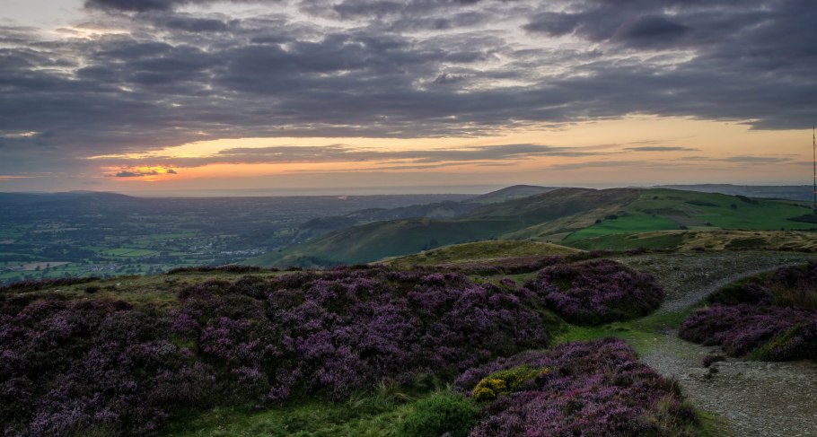 Вересковые пустоши Шотландии