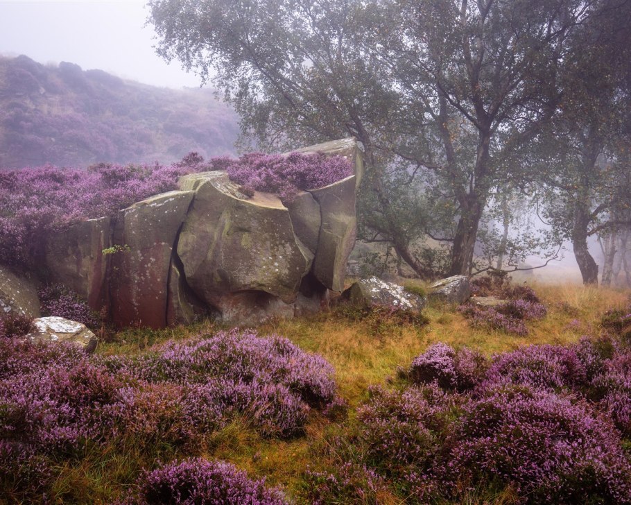 Вересковые пустоши Шотландии