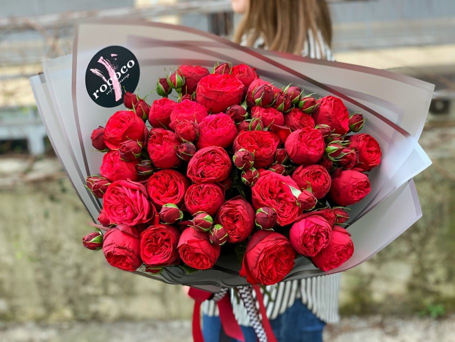 Роза кустовая ред пиано