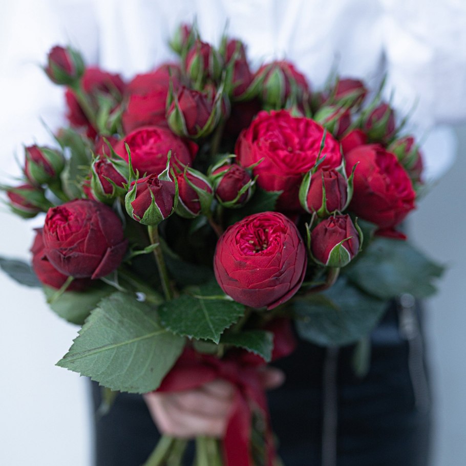 Роза пиано Фриленд