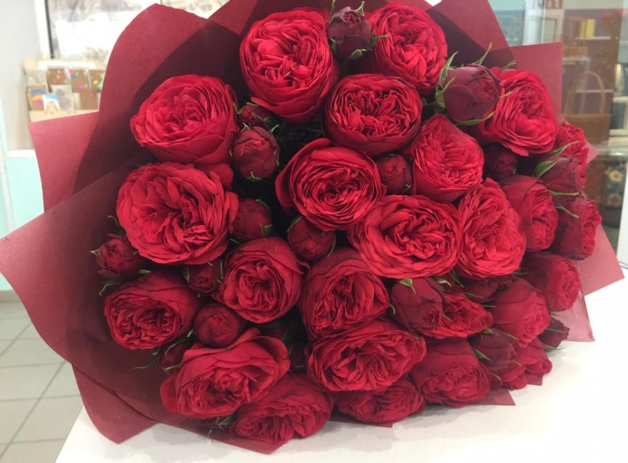 Роза пиано Фриленд