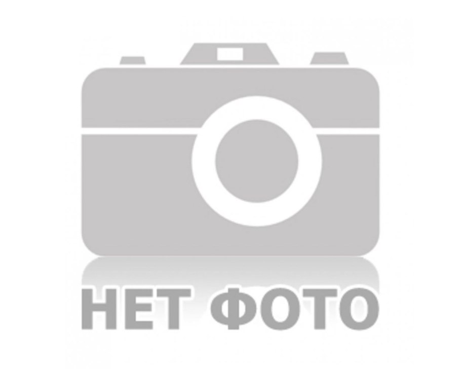 Актинидия коломикта