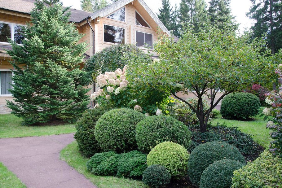 Огородный миксбордер