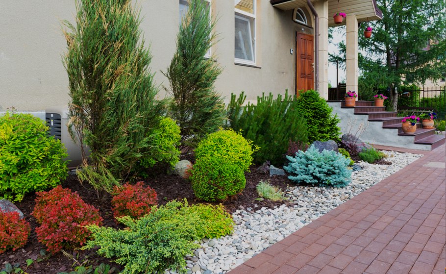 Миксбордер с туей Смарагд