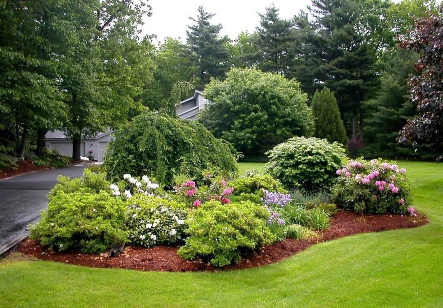 Миксбордеры из хвойников парадные