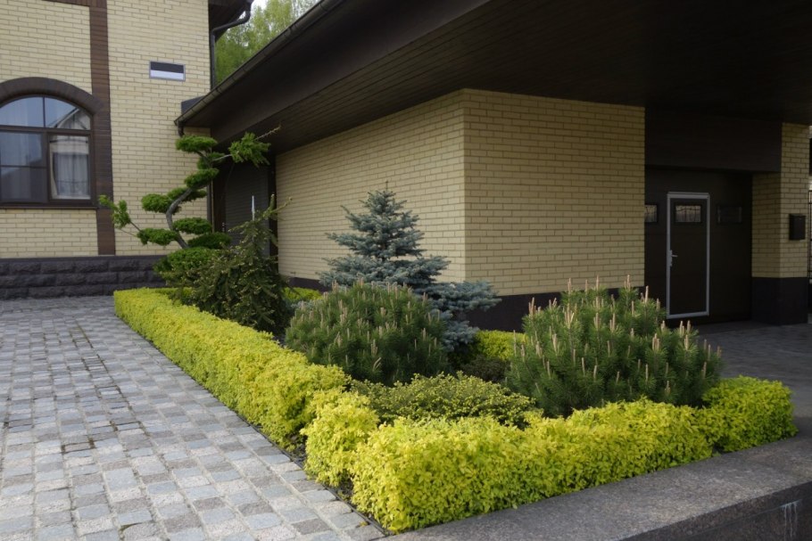 Туя Смарагд в ландшафте