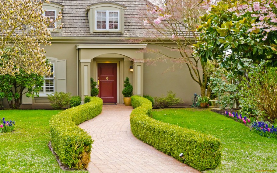 Туя Даника в ландшафтном