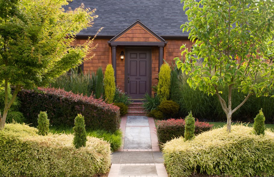 Гортензия Анабель с туей Даника