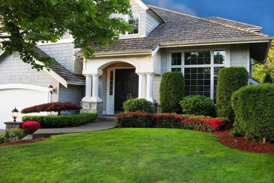 Газон в саду