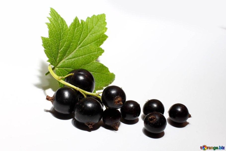 Смородина красная