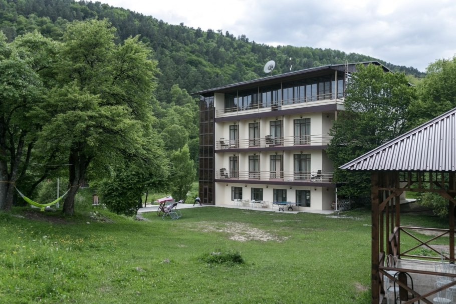 Береза растущая вверх