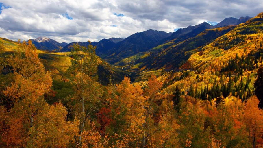 Тропический лес Суматра Индонезия