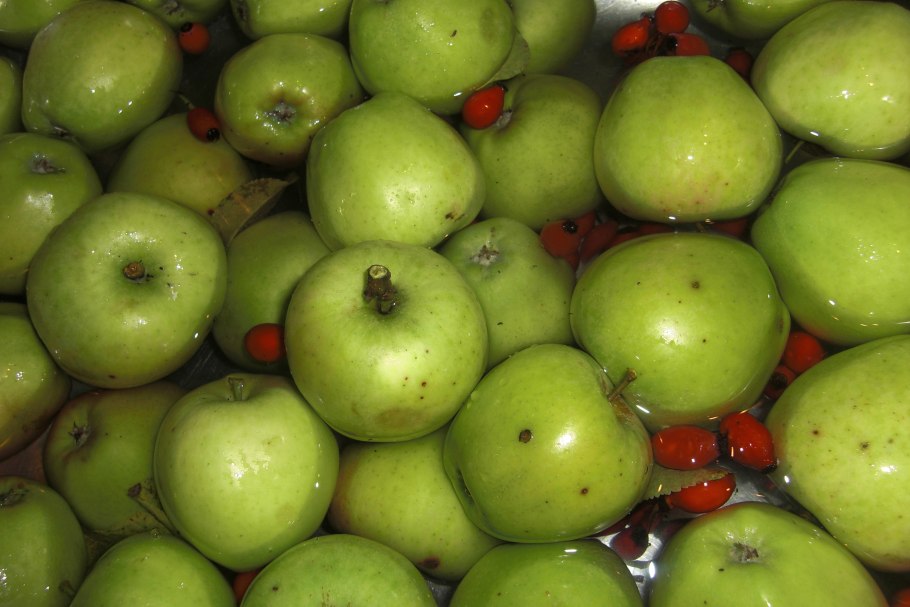 Malus Evereste яблоня