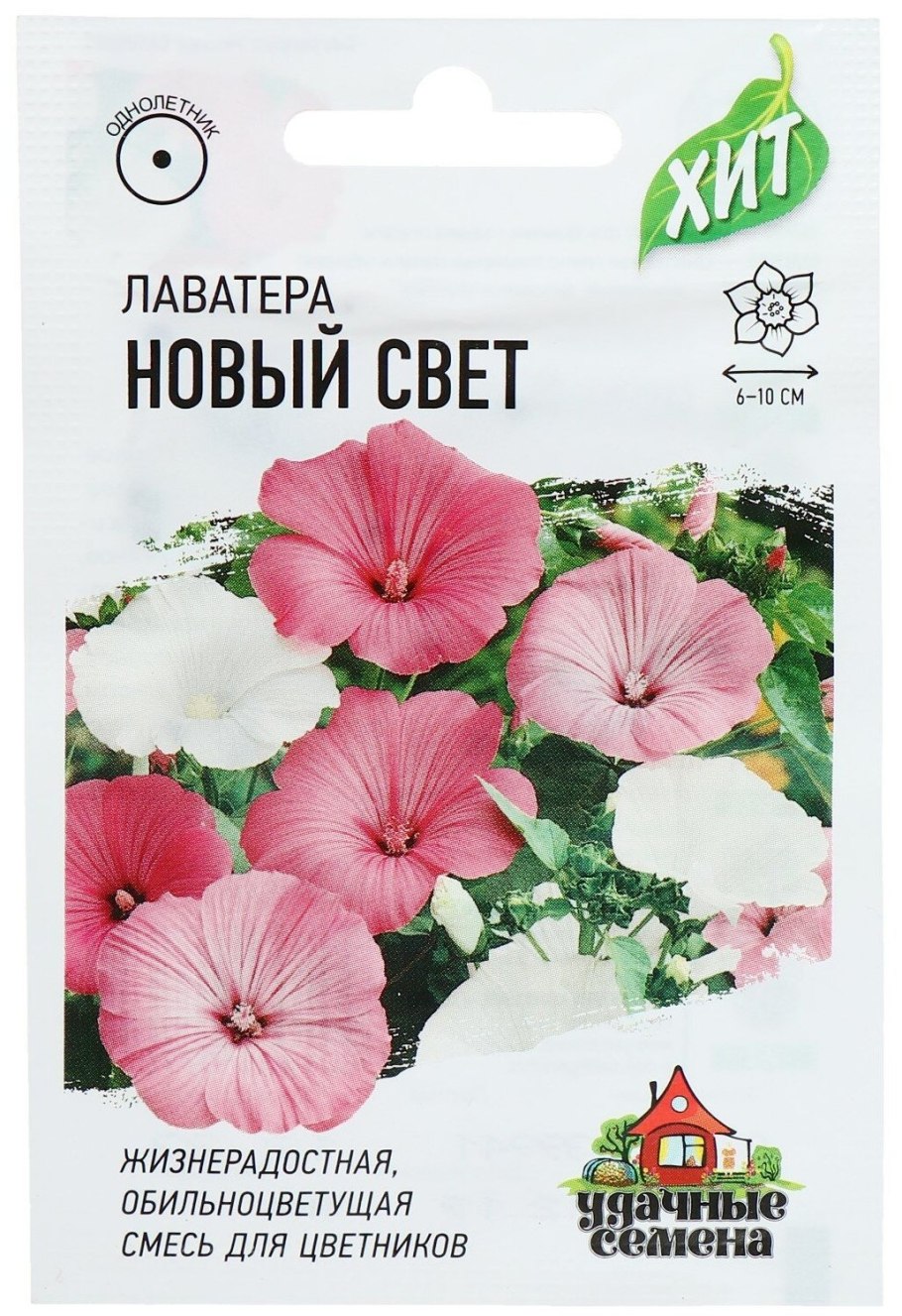 Лаватера срок хранения семян