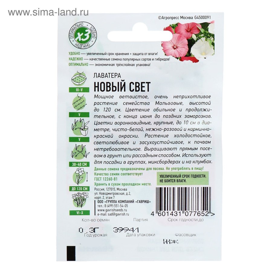 Семена лаватера красотка белая