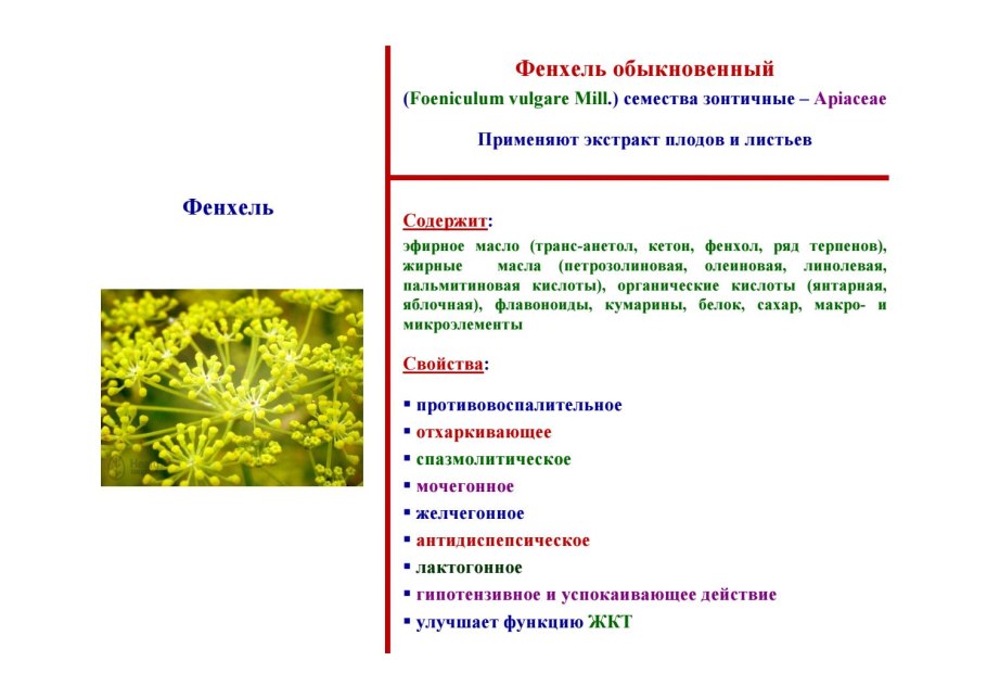 Анетол содержится в растении