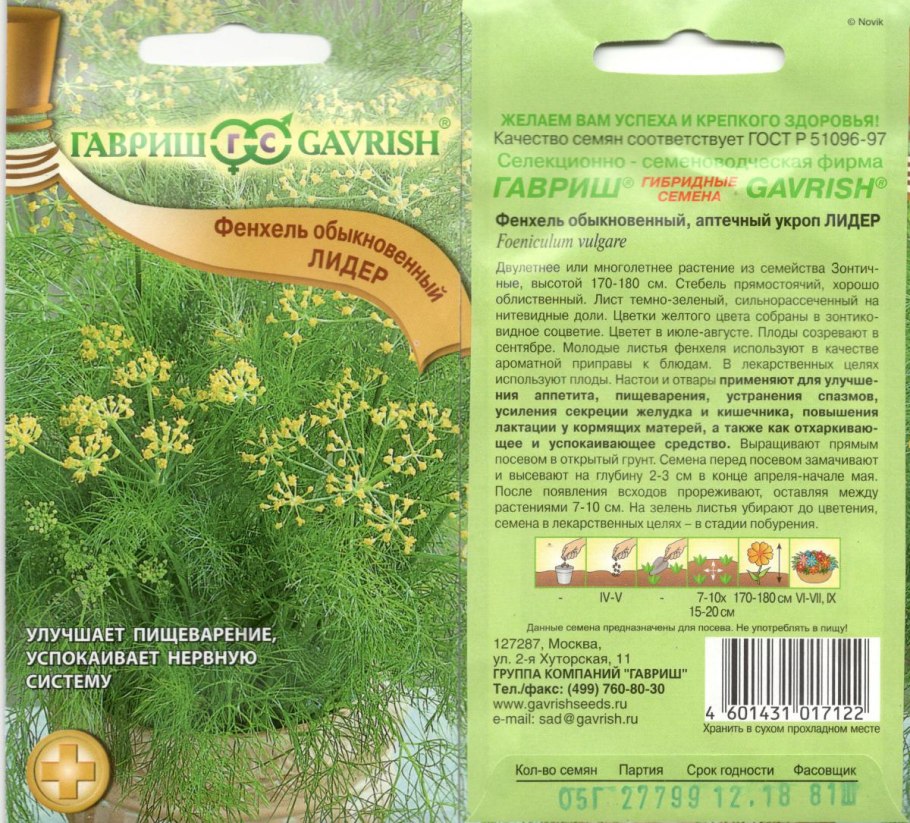 Фенхель ростки