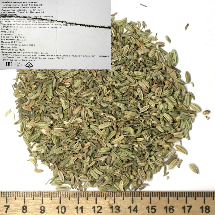 Сорта фенхеля овощного