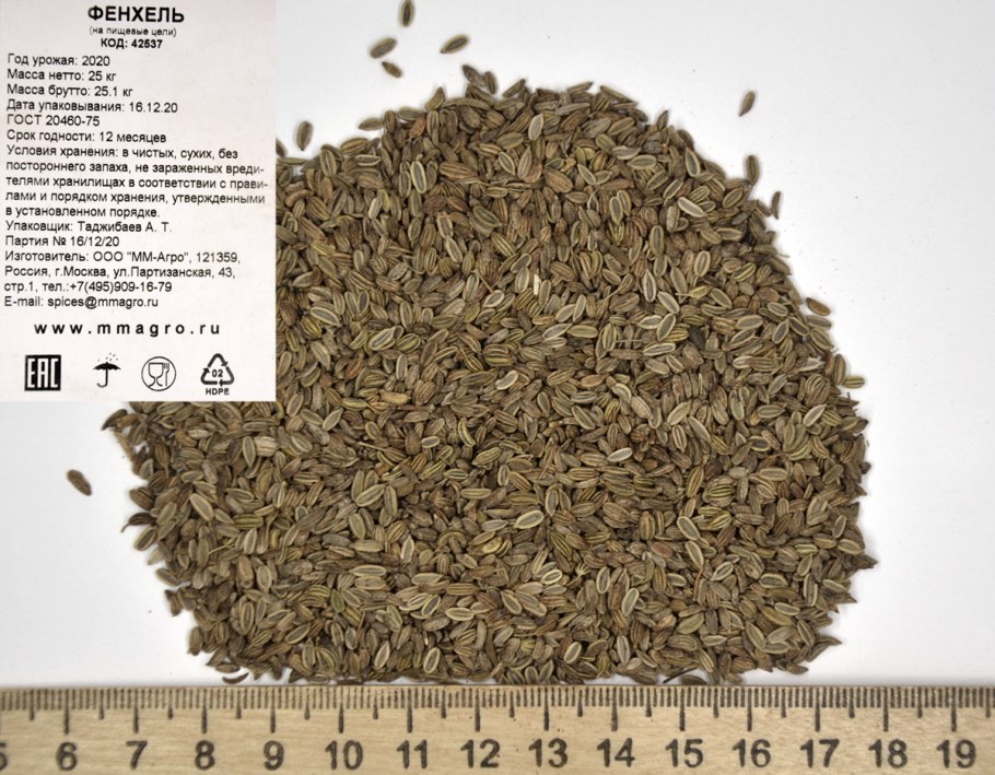 Фенхель укропная