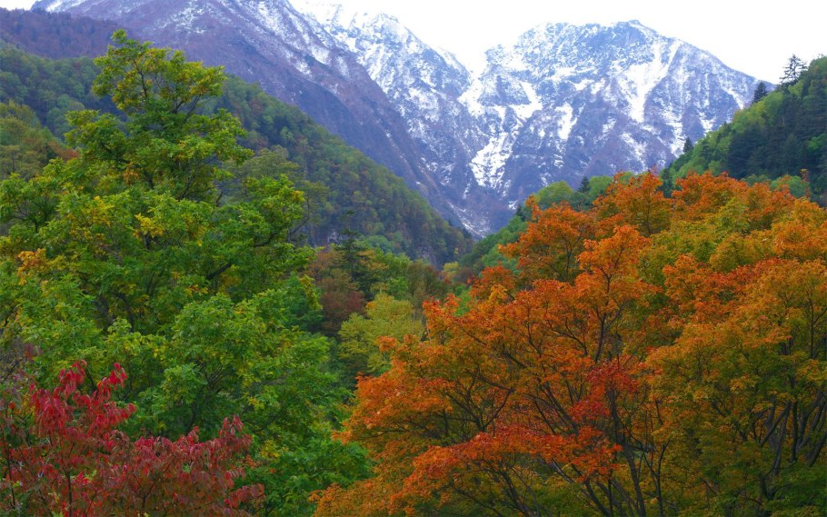 Осенний сад