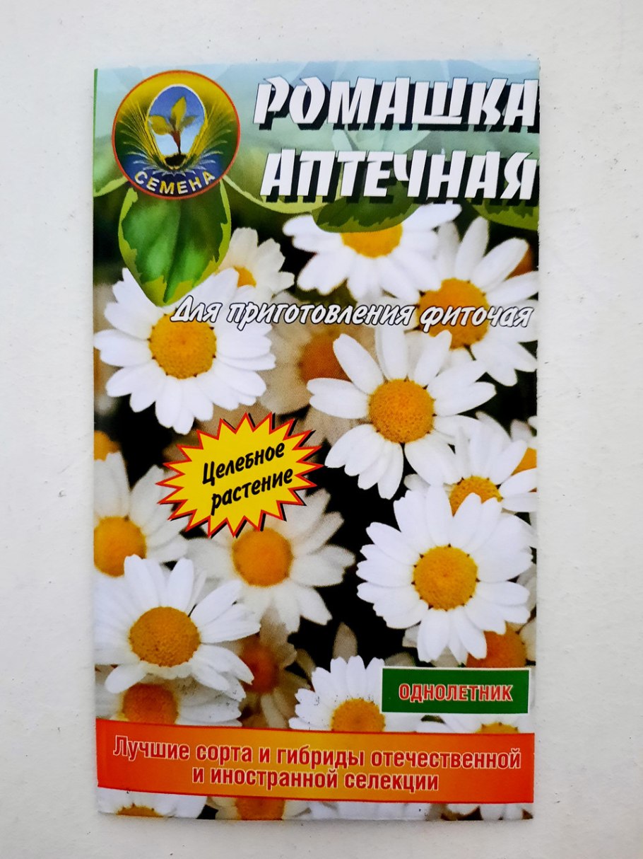 Ромашка аптечная семена цветы на улицу