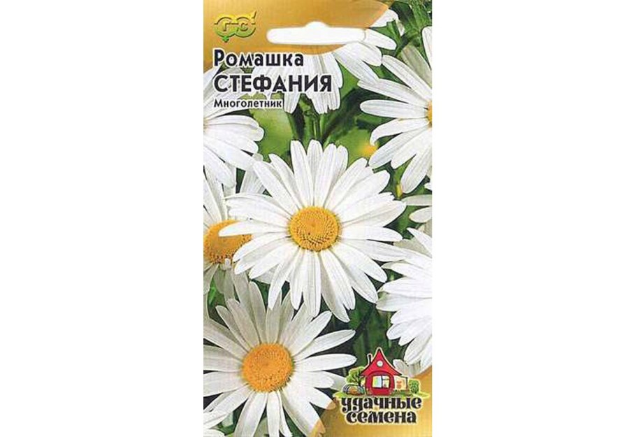 Крупные ромашки семена