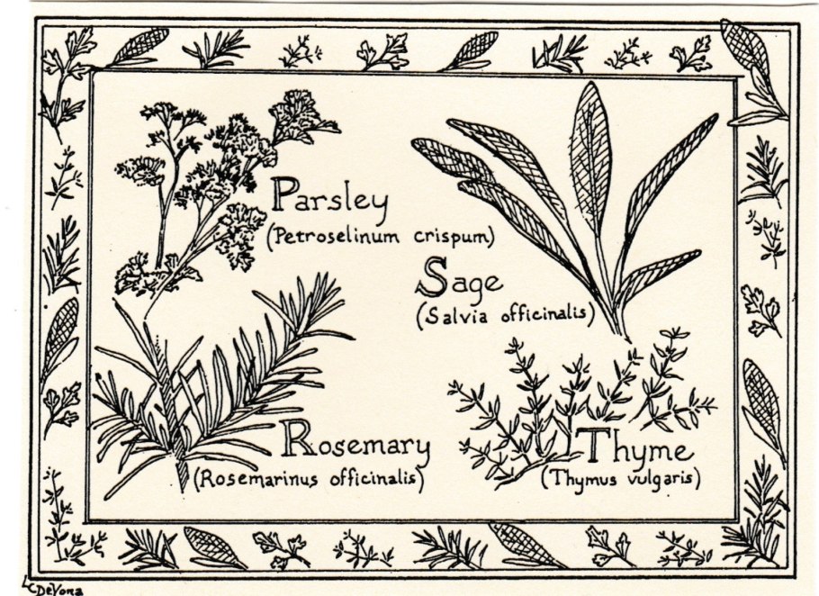 Чабрец, мята, укроп, розмарин
