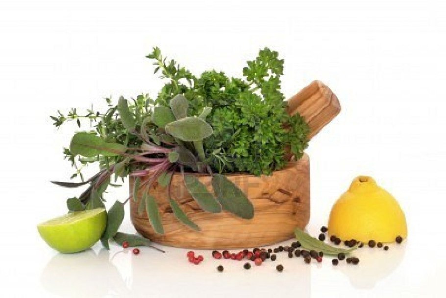 Пряные травы названия