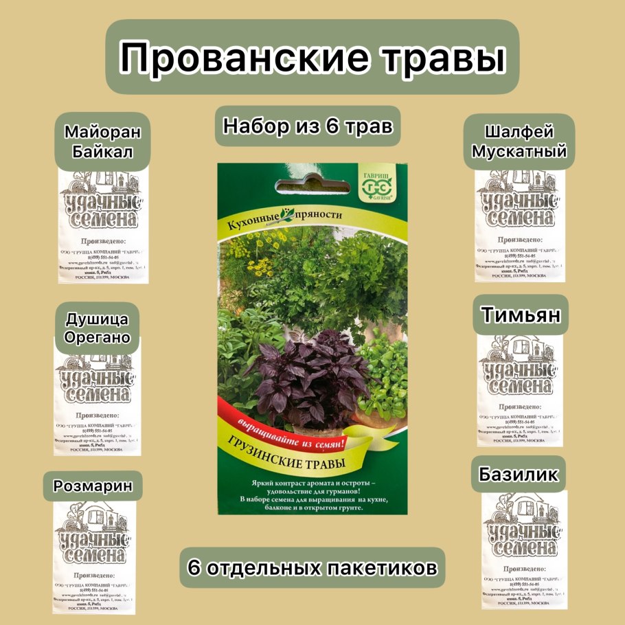 Петрушка в горшке на кухне