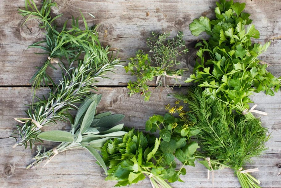 Пряно ароматические травы