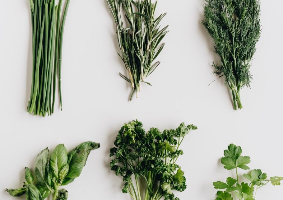 Душица шалфей розмарин