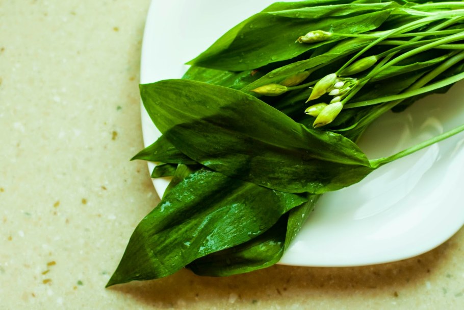 Многолетний лук слизун