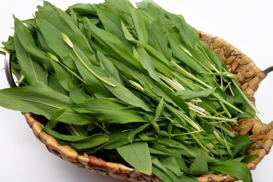 Корень чеснока