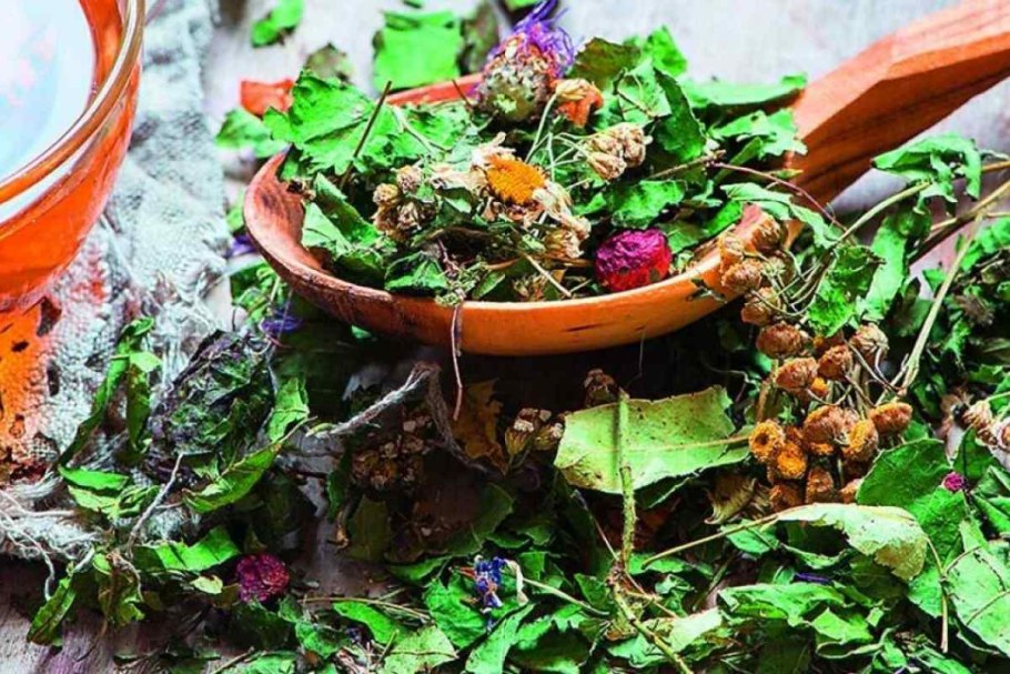 Травы Сибири для чая