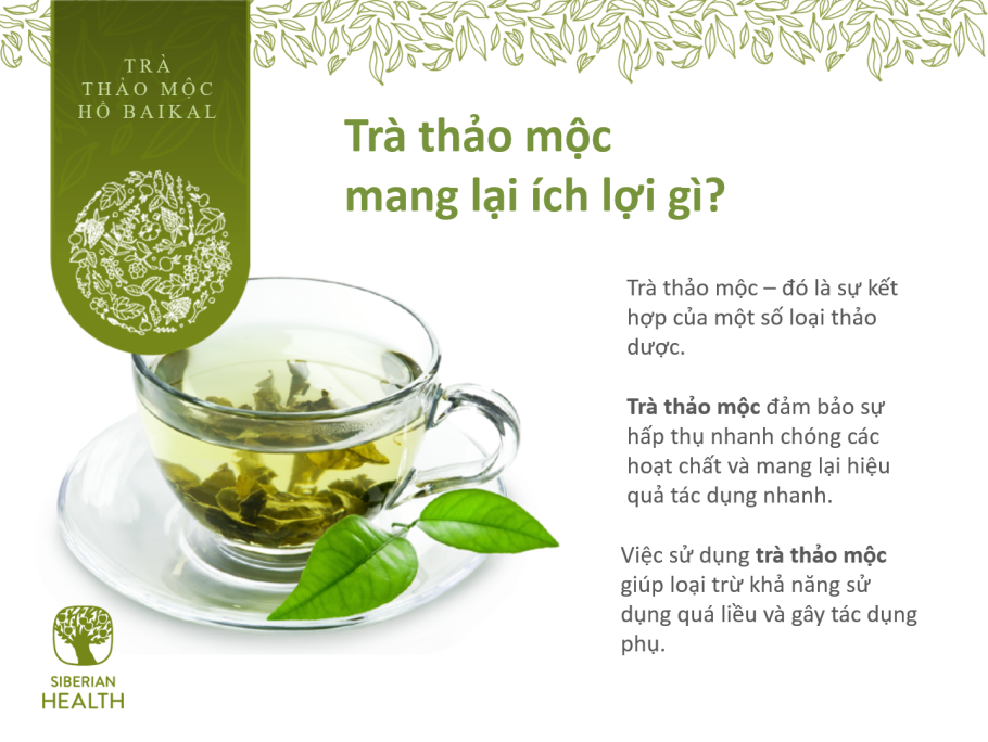 Серия фиточаев целебные травы Ольхона