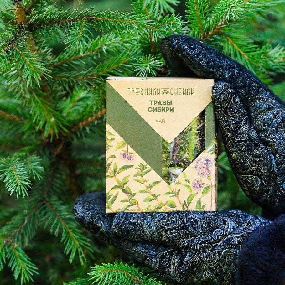 Лапчатка курильская