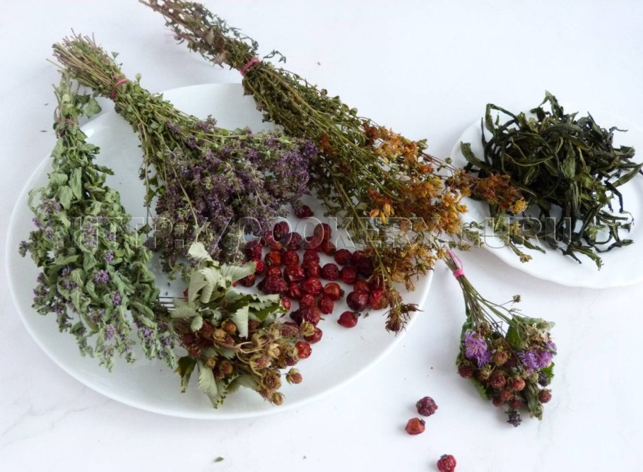 Северное разнотравье