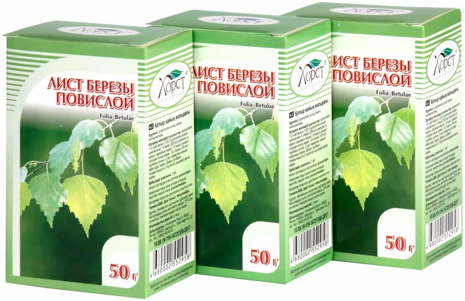 Береза повислая Юнги Betula pendula Youngii