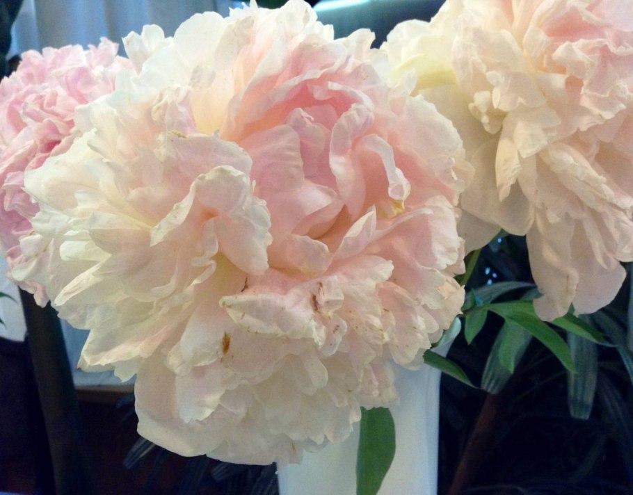 Красивый букет