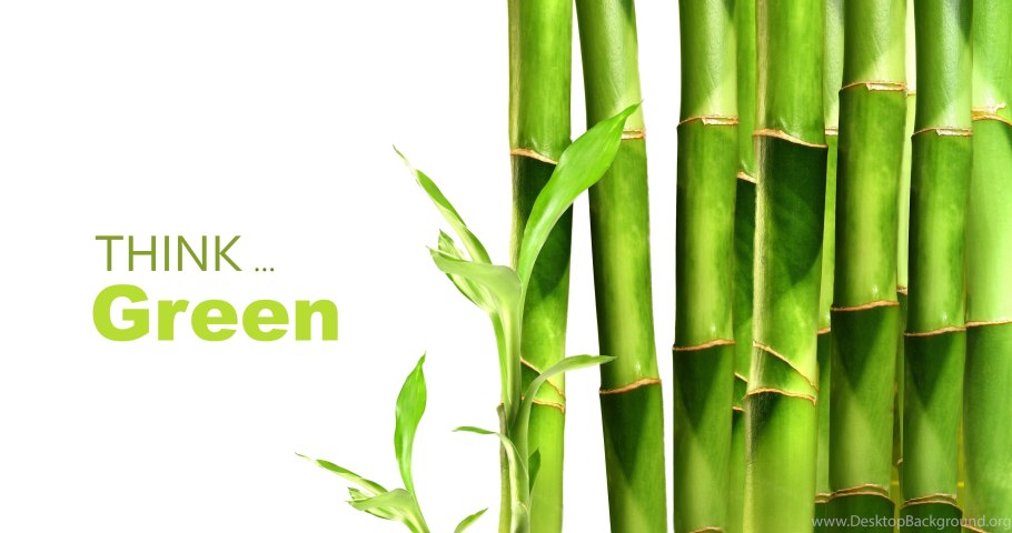 Bamboo "Bamboo (LP)"