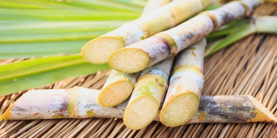 Натуральные обои бамбук-тростник d 3002 l (5,5 м)