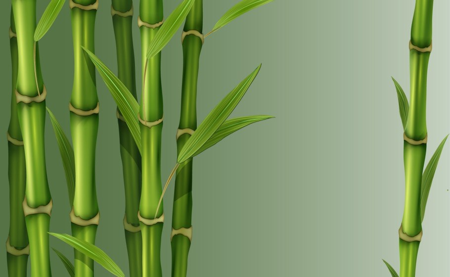 Камыша Arundo Donax