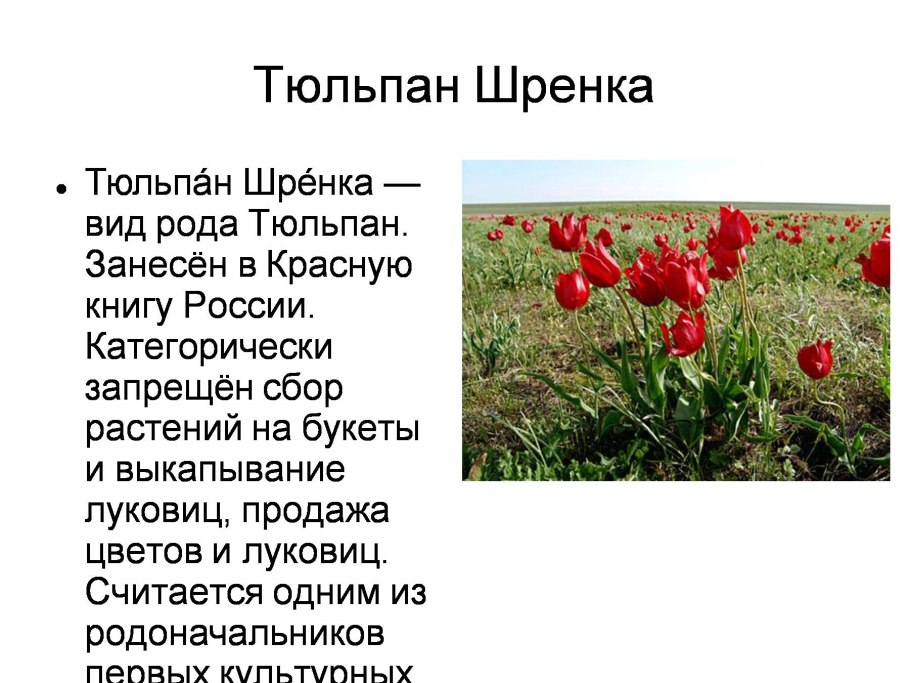 Растения изткрасной книги