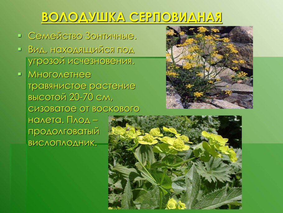 Красная книга Тульской области