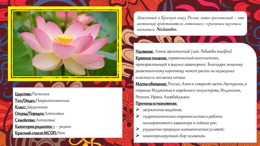 Примула первоцвет весенний красная книга