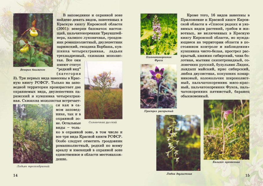 Майкараган Волжский красная книга