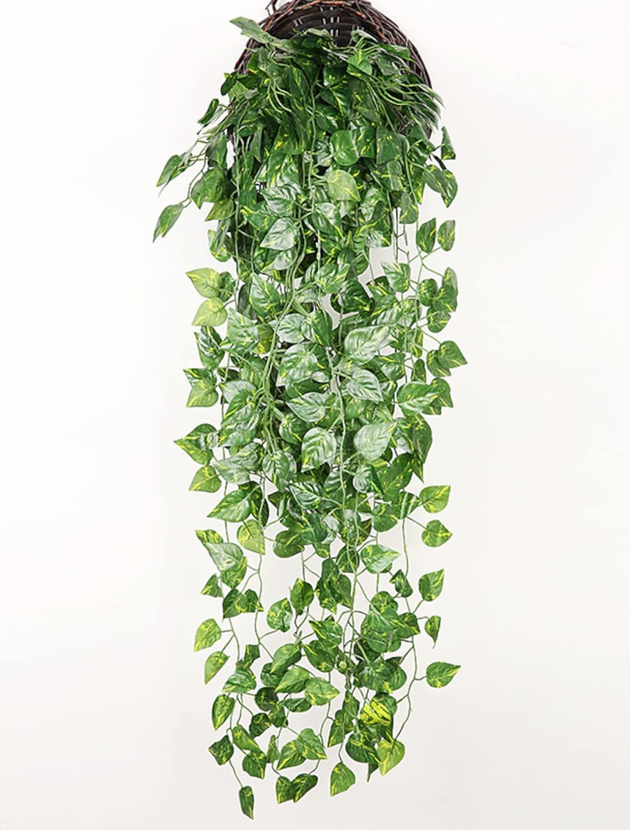 Эпипремнум традесканция